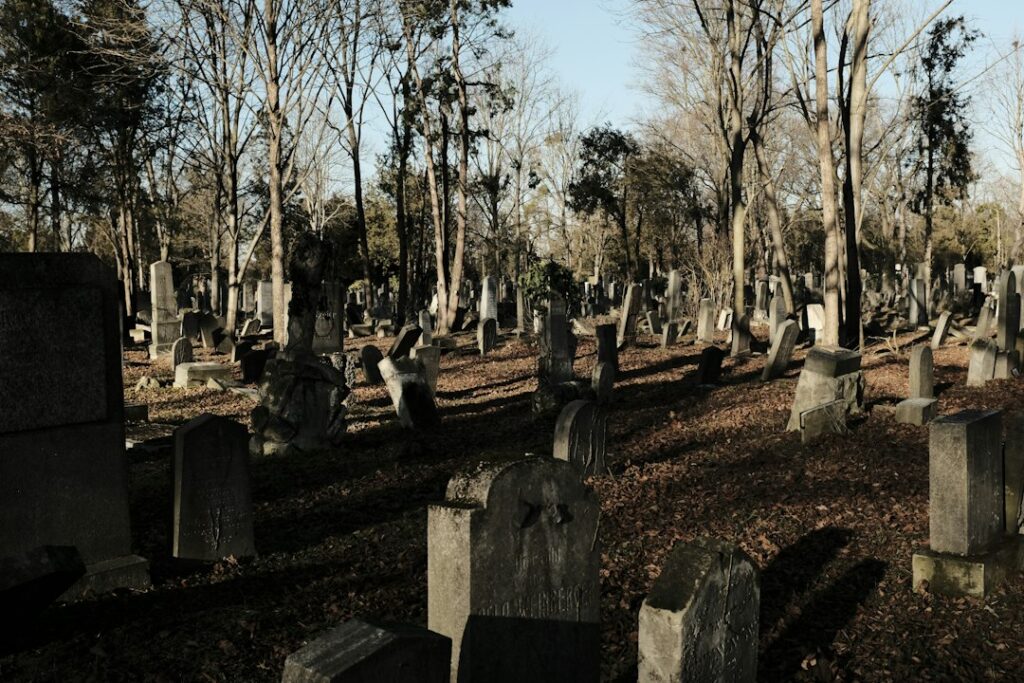 Cimitir evreiesc istoric – imagine ilustrativă pentru workshop-ul internațional de patrimoniu